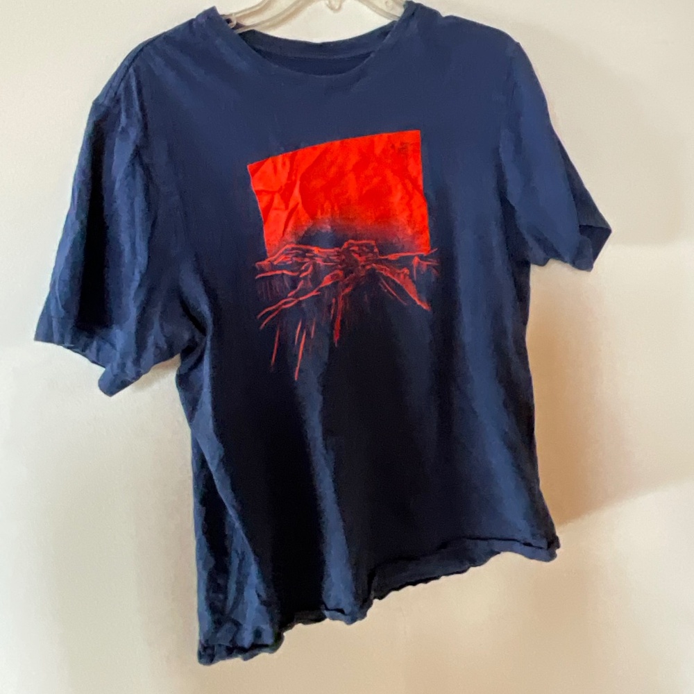 Arcteryx Backlit ‘Eruption’ Tee